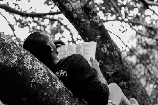 A man reading his Bible while laying in a tree shows how people search for how God protected His people in the Scriptures.