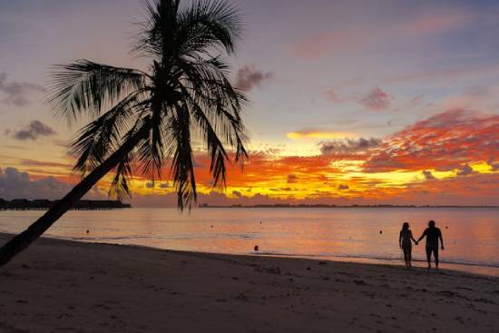 Honeymooners walking on a beach at sunset