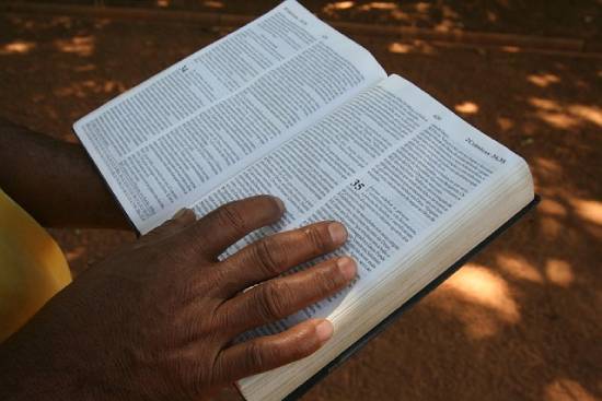 A person with an open Bible, reading through to get some biblical financial wisdom.