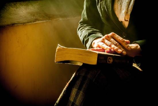 A Woman Holding the Bible A woman holding the Bible in her hands ready to study how Bible figures dealt with harmful and toxic people.