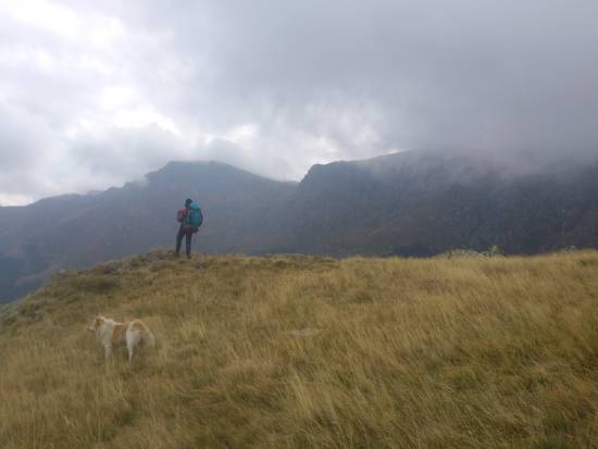 Courageous Man Standing Still in Storm A courageous man with his dog standing still on a hill in a stormy evening.