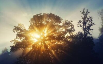 How Do I Experience God’s Presence in My Daily Life?