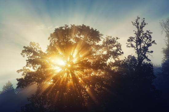 How Do I Experience God’s Presence in My Daily Life?