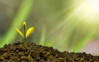 What Are Signs That My Faith is Growing?