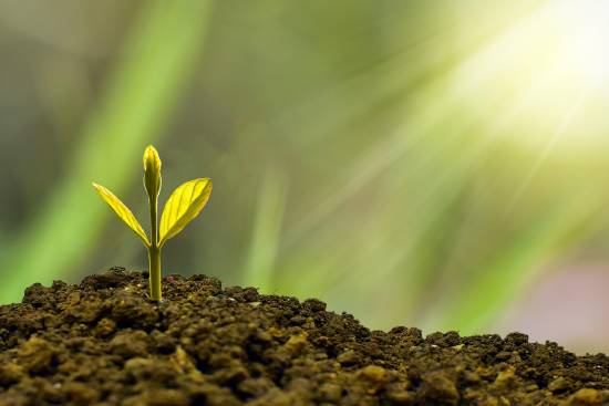 What Are Signs That My Faith is Growing?