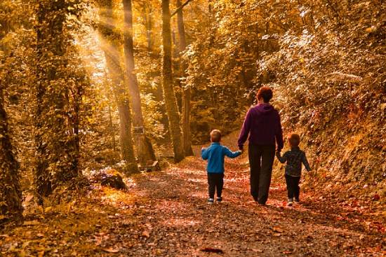 Family Walk A parent having a nature walk with two kids in the forest holding each by hand.