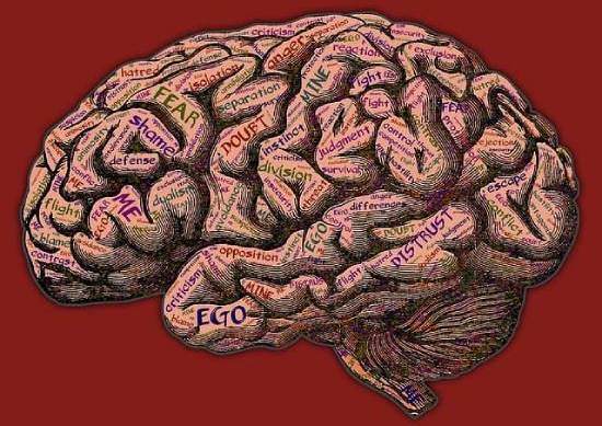 Mind grappling various emotions and psychological battles.